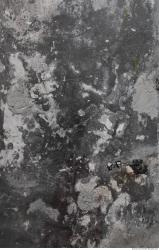 Photo Textures of Wall Plaster